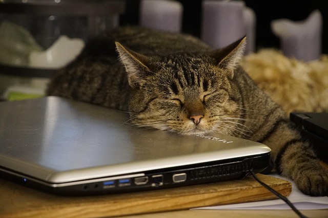 slow laptop