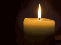 candle 3466 256